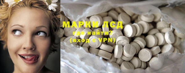 крисы Алзамай
