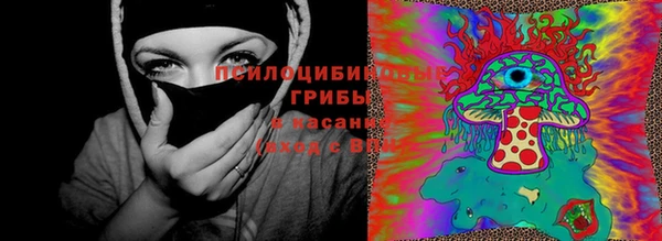 крисы Алзамай