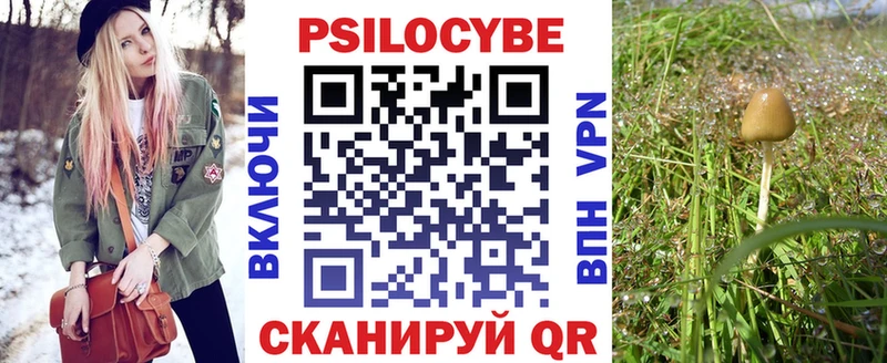 Галлюциногенные грибы мухоморы  как найти   Гусь-Хрустальный 