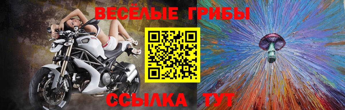 Псилоцибиновые грибы мицелий Гусь-Хрустальный